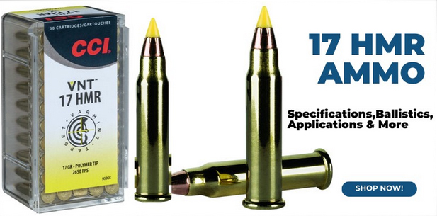 All About 17 HMR Ammo: Specifications, Ballistics, Applications & More