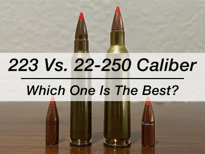 223 Vs. 22-250 Caliber Battle - Which One Is The Best?