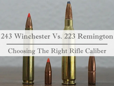 243 Winchester  Vs. 223 Remington Ammo Comparison