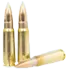 Rifle Ammo